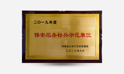 2019年度保安服務(wù)標(biāo)兵示范單位